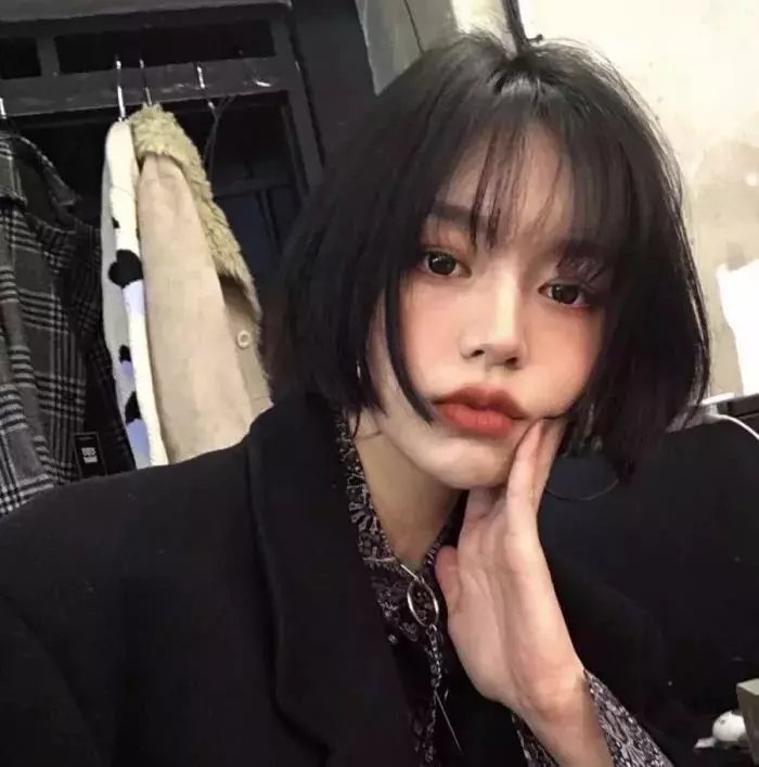 蚂蚁的梦想